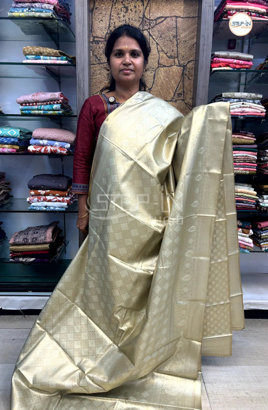 Tissue Silver Zari Weaving Saree With Self Pallu & Blouse - Cream
